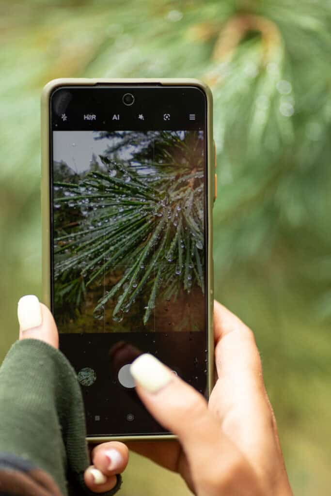 A person taking a picture of a plant to find out what its is. A horticulture business is suggested by AI because they had good visual search SEO
