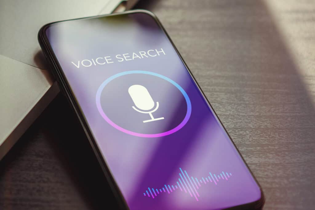 Voice search optimization